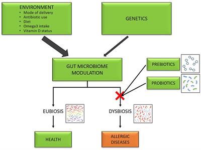 The Role of Prebiotics and Probiotics in Prevention of Allergic Diseases in Infants